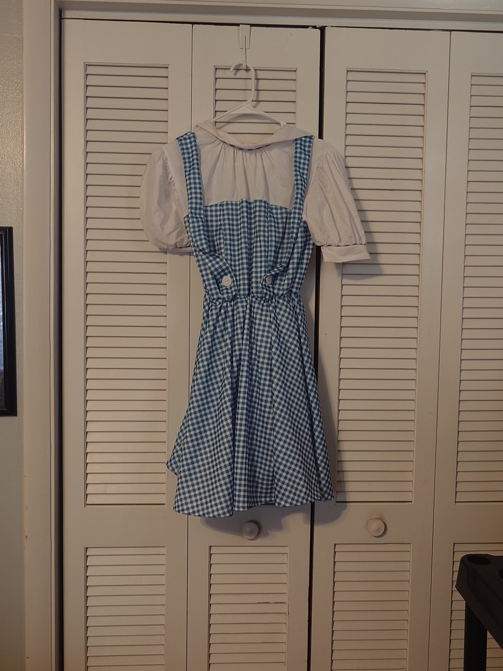 Adult Dorothy Blue Gingham Costume Dress - Classic Home Party Supplies - Picture 2 of 5